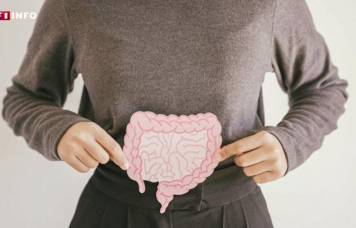 ¿Cómo puede influir tu microbiota intestinal en tu salud?