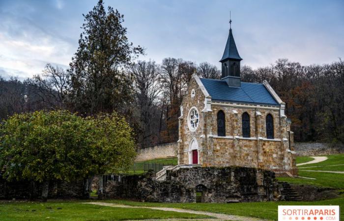 Museos, castillos y monumentos gratuitos en Yvelines domingo 7 de julio de 2024, primer domingo del mes