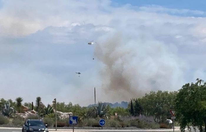 Se produce un incendio de vegetación en Aude, se registra un fuerte viento en el lugar, unos cuarenta bomberos están presentes