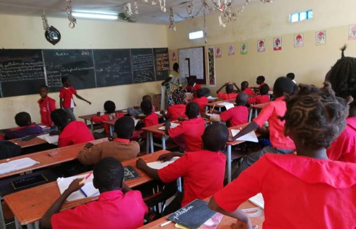 Senegal quiere anticiparse a la formación de docentes
