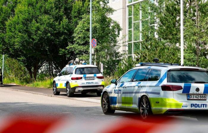 Casi una tonelada de explosivos descubierta por casualidad en Dinamarca