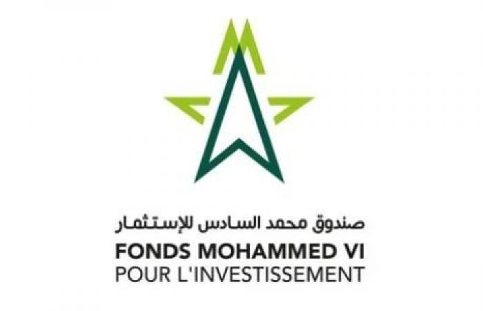 Gestión de fondos startup: fuerte participación de gestoras nacionales e internacionales en la convocatoria de manifestaciones de interés lanzada por la FM6I