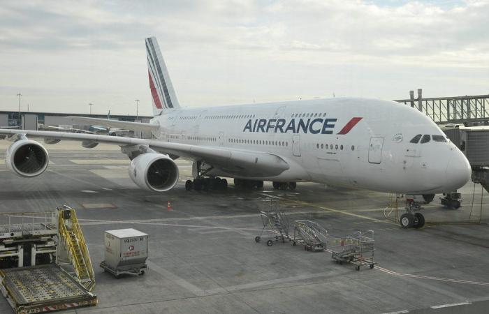 En Orly, los pasajeros de un vuelo París-Bamako impiden la expulsión de un maliense en virtud de la OQTF