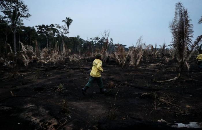 La Amazonía experimentó su primera cifra de muertos, la peor en veinte años