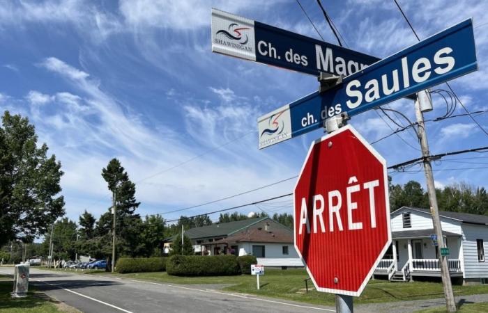 Ponerse al día | Videoperiodista Mauricie-Centre-du-Québec | Radio-Canada.ca