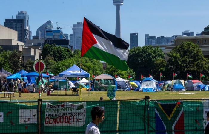 Universidad de Toronto | Juez ordena a manifestantes pro palestinos desmantelar su campamento