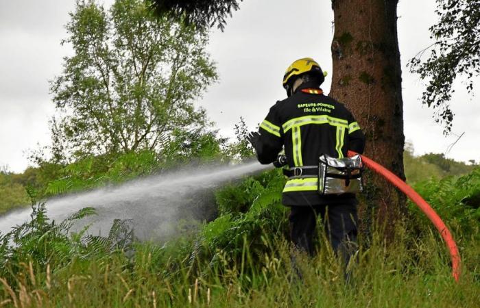 Lucha contra los incendios forestales en Ille-et-Vilaine: qué cambiará en 2024