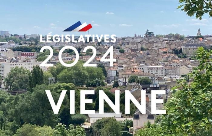 LEGISLATIVO 2024. ¿Quiénes son los candidatos y partidos de la segunda vuelta en Viena?