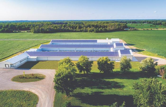 Energía solar: menos popular en Quebec