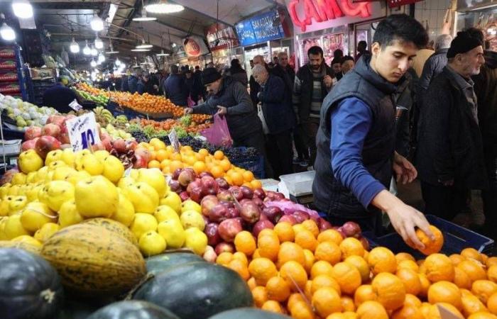 Türkiye: la inflación se desacelera hasta el 71,6% interanual en junio