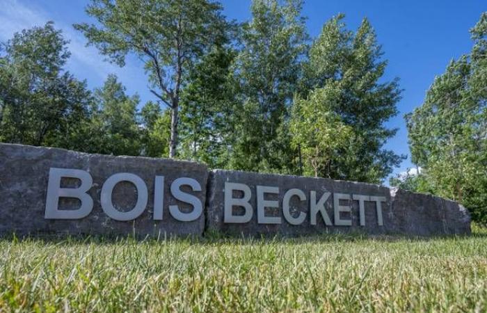 En Bois Beckett están previstos 5 km de senderos adicionales
