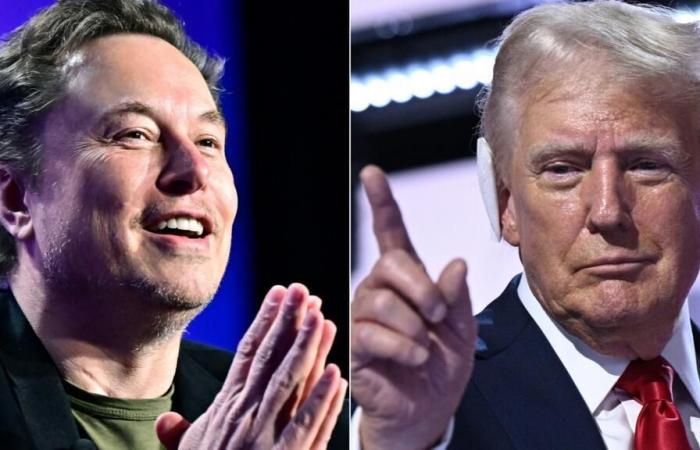 Donald
      Trump
      quiere
      encargar
      a
      Elon
      Musk
      una
      “auditoría”
      del
      Estado