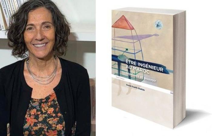 “Ser
      ingeniero
      en
      Marruecos”,
      un
      libro
      de
      Grazia
      Scarfo
      Ghellab