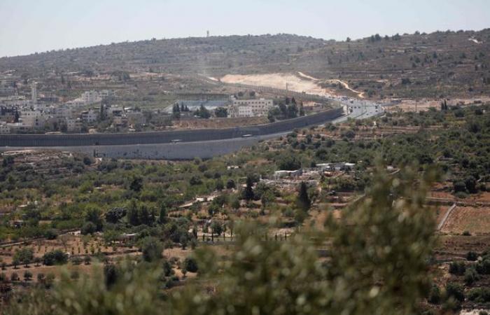 Mujer
      estadounidense
      es
      asesinada
      a
      tiros
      durante
      protesta
      en
      Tel
      Aviv