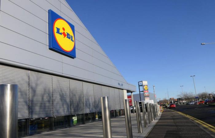 Lidl
      abre
      su
      mayor
      plataforma
      logística
      en
      Francia,
      quedan
      200
      puestos
      por
      cubrir