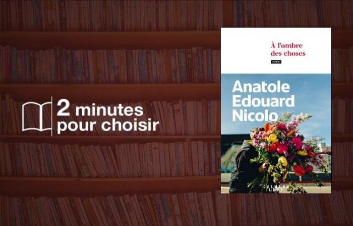 Leemos
      “A
      la
      sombra
      de
      las
      cosas”,
      la
      primera
      novela
      de
      Anatole
      Edouard
      Nicolo
      –
      Mi
      Blog