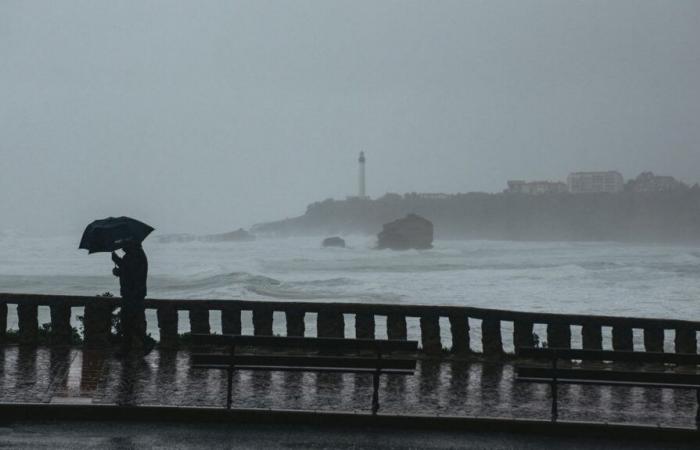 Siete
      departamentos
      del
      suroeste
      ahora
      en
      alerta
      naranja
      por
      inundaciones
      o
      lluvias
      torrenciales