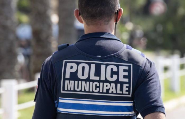 Un
      agente
      municipal
      de
      Grenoble
      fue
      asesinado
      a
      tiros
      tras
      intentar
      contener
      al
      autor
      del
      accidente