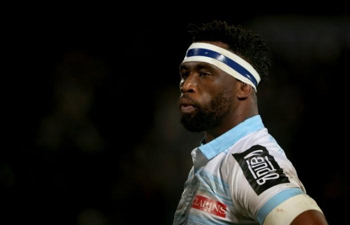 Kolisi
      y
      Racing
      92,
      ya
      se
      acabó