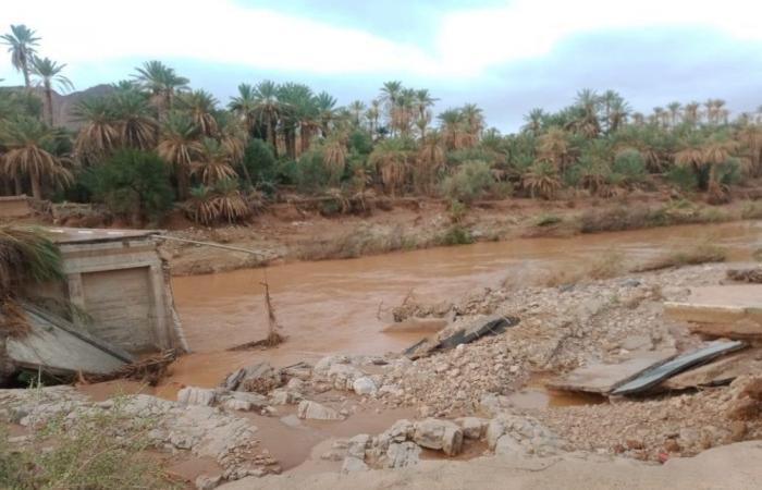 Inundaciones
      en
      Marruecos:
      el
      número
      de
      muertos
      aumenta
      a
      14