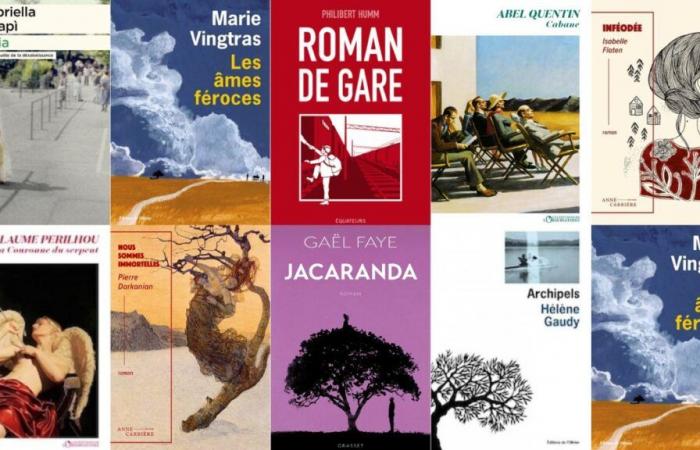 Estas
      nueve
      novelas
      en
      francés
      merecen
      ser
      premiadas