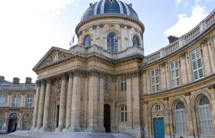 La
      Academia
      Francesa
      denuncia
      los
      anglicismos
      en
      un
      libro