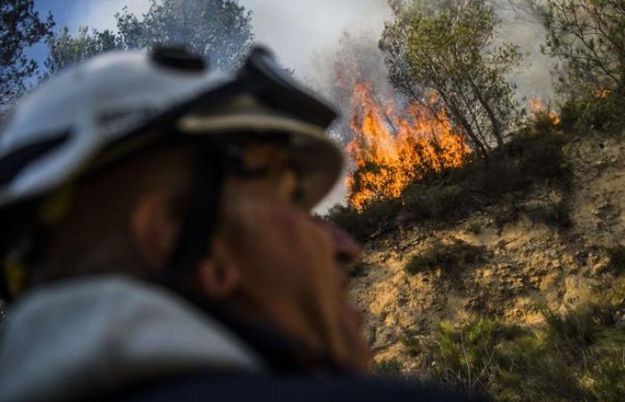 Imputado
      un
      bombero
      voluntario
      acusado
      de
      provocar
      quince
      incendios
      en
      Vaucluse
      –
      Mi
      Blog