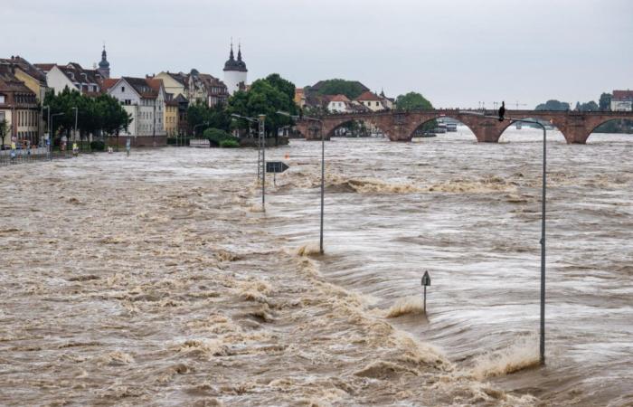 ¿Debemos
      temer
      un
      desastre
      meteorológico
      en
      Europa
      este
      fin
      de
      semana?
      –
      Mi
      Blog