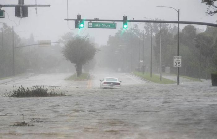 En
      directo
      por
      TV:
      un
      hombre
      salva
      la
      vida
      de
      un
      conductor
      atrapado
      en
      las
      inundaciones
      –
      Mi
      Blog