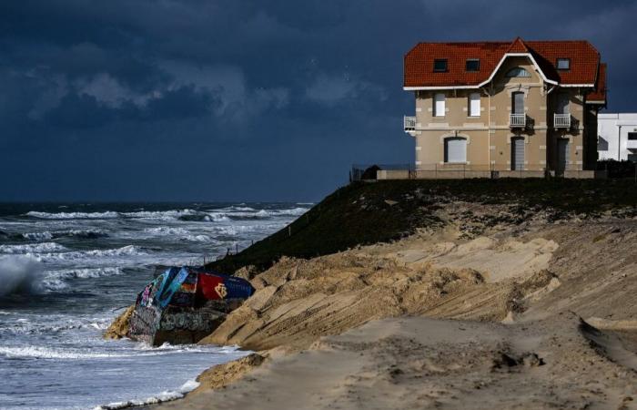 Cómo
      proteger
      nuestras
      costas
      de
      las
      tormentas
      y
      la
      subida
      del
      nivel
      del
      mar
      –
      Mi
      Blog