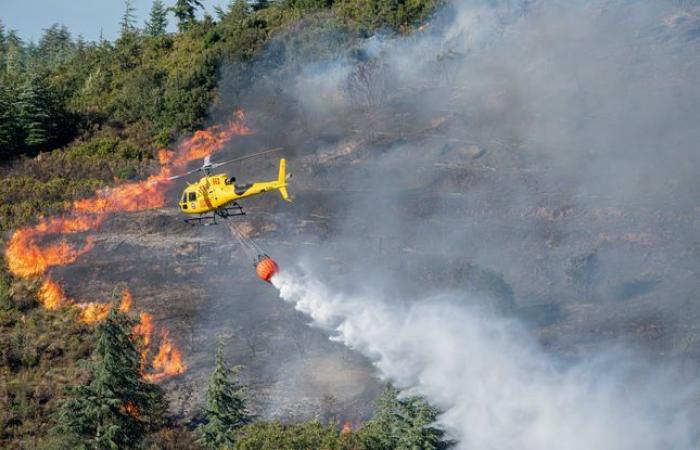 400
      hectáreas
      cubiertas
      y
      cinco
      bomberos
      heridos
      –
      Mi
      Blog