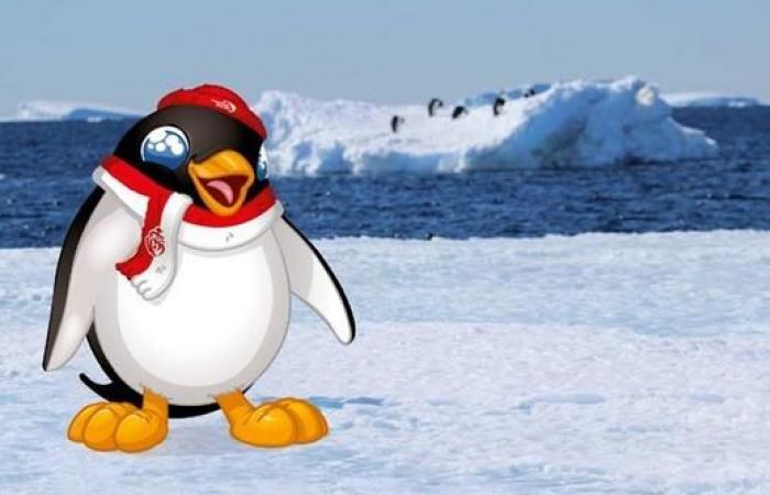 El
      pingüino
      Adelia,
      mascota
      de
      la
      próxima
      edición
      para
      denunciar
      el
      deshielo