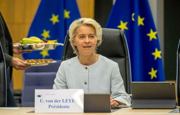 El
      ambicioso
      proyecto
      de
      Ursula
      von
      der
      Leyen
      –
      Mi
      Blog