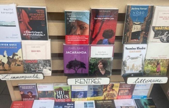 Las
      ocho
      novelas
      de
      la
      rentrée
      literaria
      que
      no
      te
      puedes
      perder