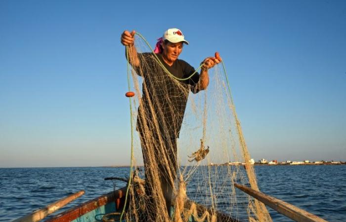 En
      Túnez,
      las
      mujeres
      pescadoras
      luchan
      contra
      la
      desigualdad
      y
      el
      cambio
      climático
      –
      Mi
      Blog