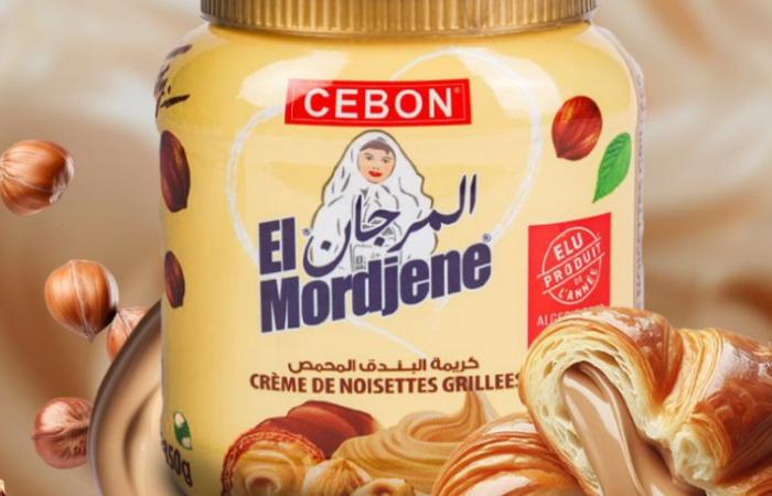 Prohíben
      la
      importación
      a
      Francia
      de
      la
      pasta
      de
      El
      Mordjene,
      que
      se
      ha
      vuelto
      viral
      –
      Mi
      Blog