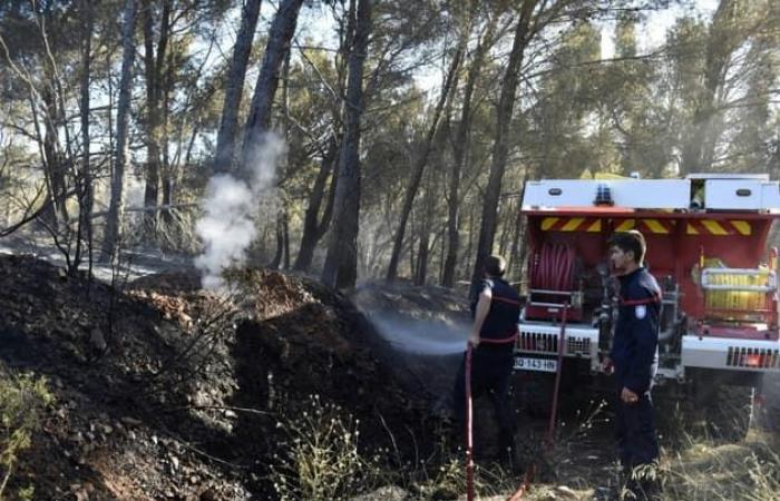 Varios
      incendios
      en
      los
      Pirineos
      Orientales
      este
      sábado
      –
      Mi
      Blog