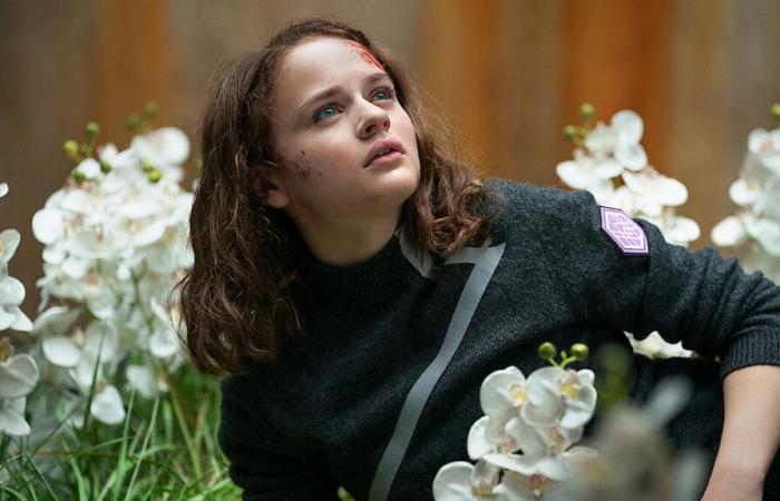 Reparto,
      final
      y
      tráiler
      de
      la
      adaptación
      del
      libro
      de
      Joey
      King