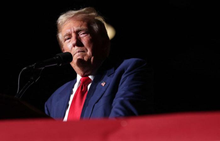 Donald
      Trump,
      blanco
      de
      un
      supuesto
      intento
      de
      asesinato,
      promete
      “nunca
      rendirse”