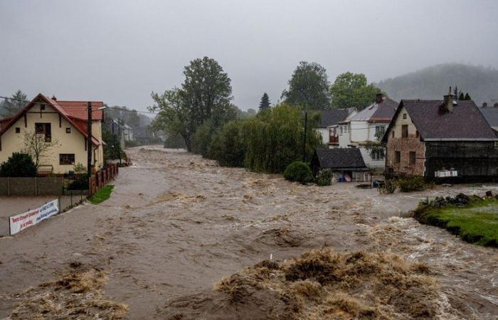 Un
      hombre
      'gritó
      y
      desapareció
      bajo
      la
      superficie',
      arrastrado
      por
      las
      aguas
      de
      la
      inundación
      mientras
      intentaba
      ayudar
      a
      sus
      vecinos
      –
      .