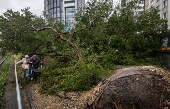 15
      muertos
      y
      un
      paisaje
      de
      desolación
      en
      Europa
      Central
      y
      Oriental
      –
      .