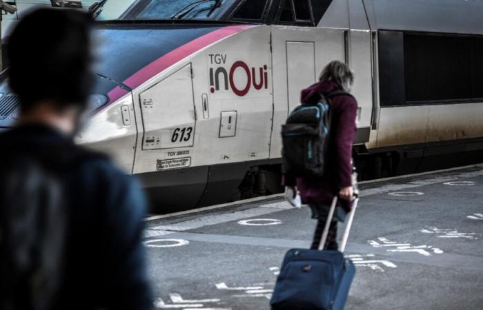 Qué
      puedes
      llevar
      ahora
      para
      evitar
      las
      nuevas
      multas
      de
      la
      SNCF