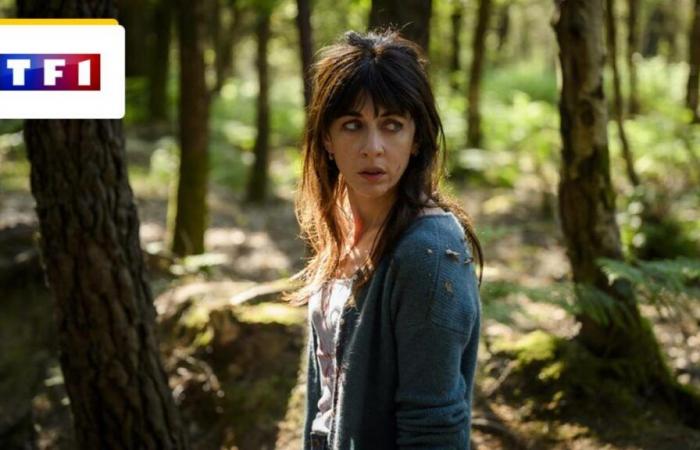 ¿Cuánto
      vale
      la
      serie
      policiaca
      con
      Nolwenn
      Leroy
      ambientada
      en
      Bretaña?