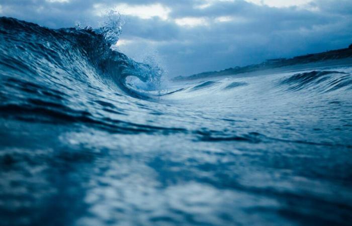 Estos
      científicos
      han
      hecho
      un
      descubrimiento
      en
      el
      corazón
      de
      nuestro
      planeta:
      hay
      un
      océano
      bajo
      la
      corteza
      terrestre
      que
      contiene
      más
      agua
      que
      en
      la
      superficie.