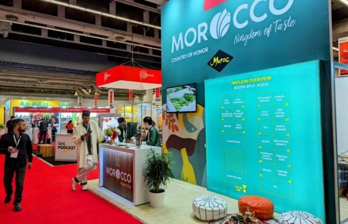 Marruecos
      en
      el
      punto
      de
      mira
      en
      la
      feria
      internacional
      de
      Miami
      –
      .