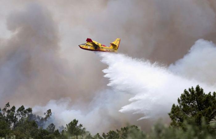 Portugal
      pide
      ayuda
      a
      Europa
      para
      hacer
      frente
      a
      múltiples
      incendios
      –
      16/09/2024
      a
      las
      15:14
      –
      .