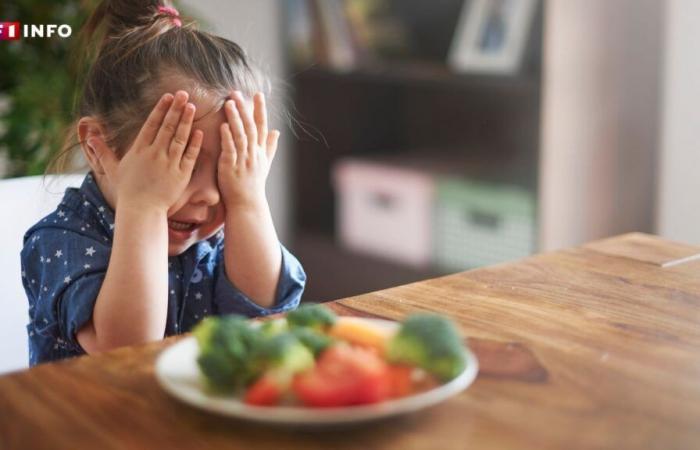 Raciones,
      plato
      ideal,
      alimentos
      para
      olvidar…
      las
      nuevas
      recomendaciones
      para
      las
      comidas
      de
      los
      niños
      –
      .