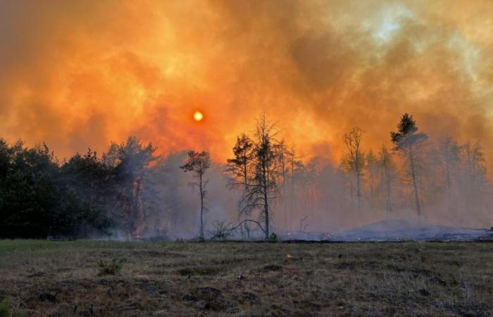 Contra los incendios forestales, una constelación de satélites en órbita baja financiada por Google