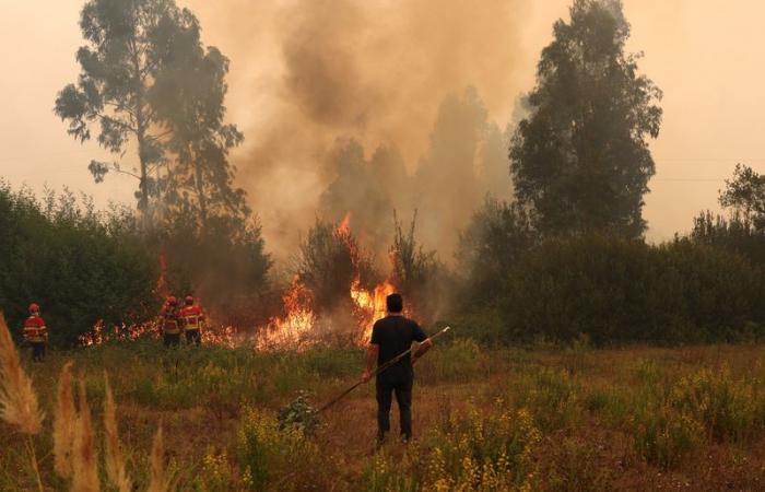 Portugal recibe ayuda de España y Marruecos para combatir incendios forestales