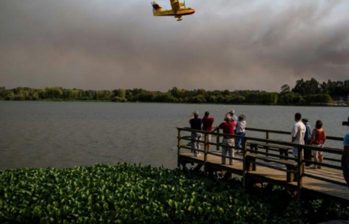 Portugal sigue luchando contra los violentos incendios forestales: Noticias